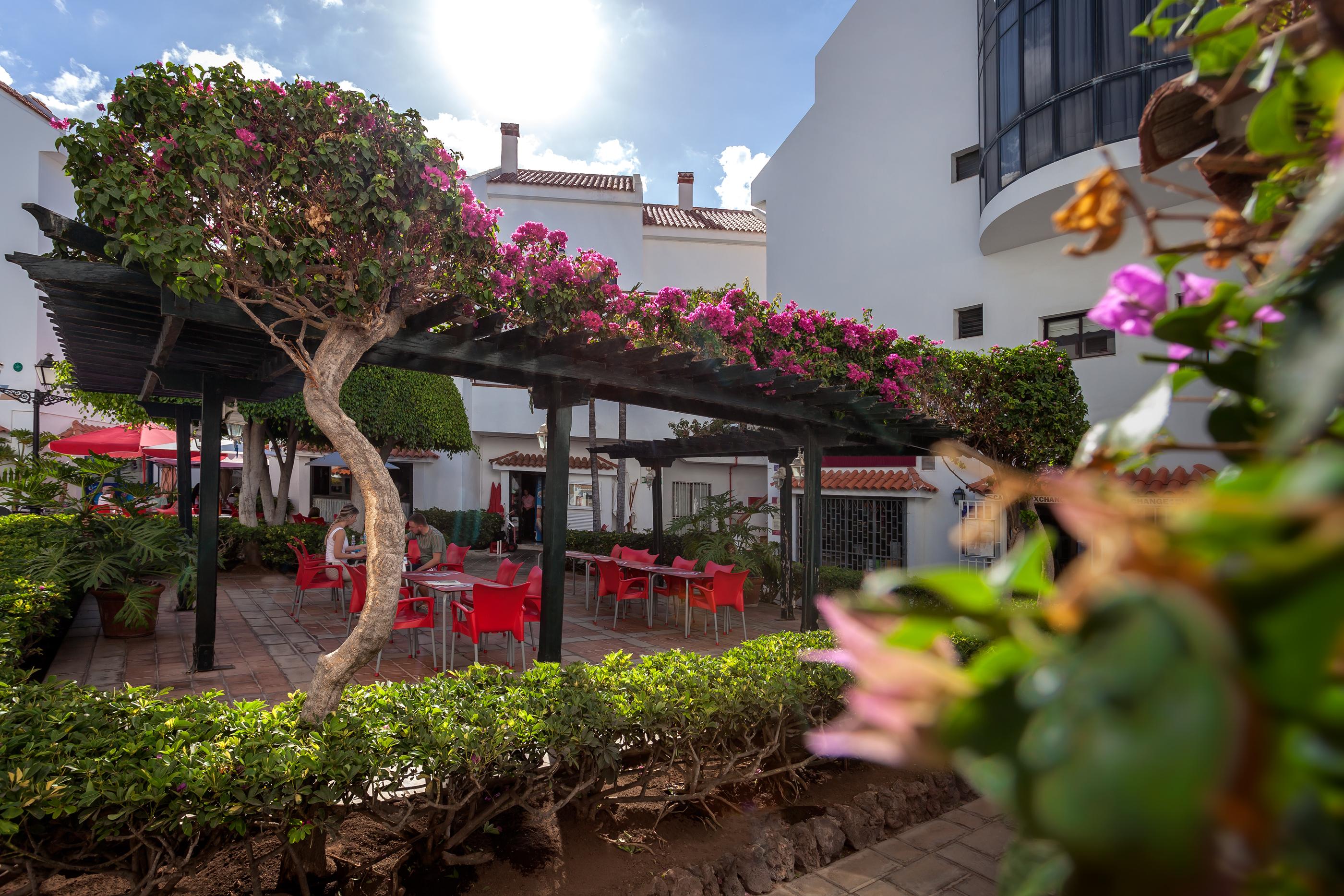 Hg Cristian Sur Apartament Los Cristianos (Tenerife)